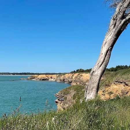別荘 Les Gites De Pen-be, Longere En Pierre A 20 M De La *