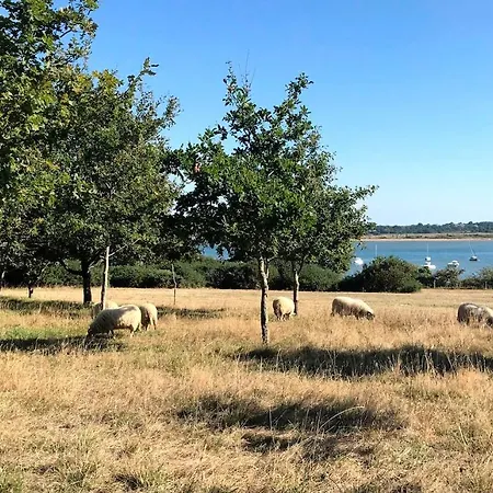 Les Gites De Pen-be, Longere En Pierre A 20 M De La 別荘 Assérac